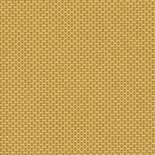 Curry Cushion