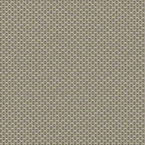 Pumice Cushion