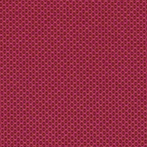 Rasberry Cushion