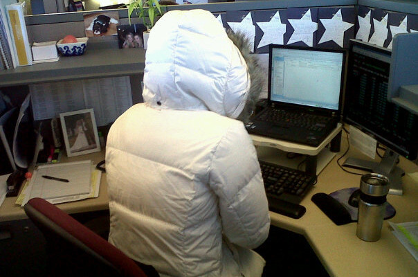 warm cubicle