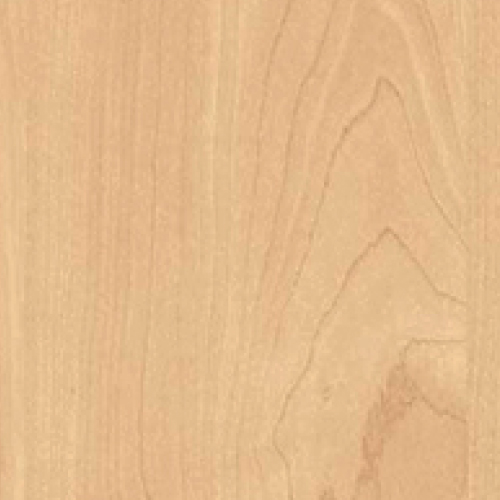 Kensington Maple